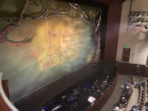 Photo of the Into The Woods Stage during intermission.