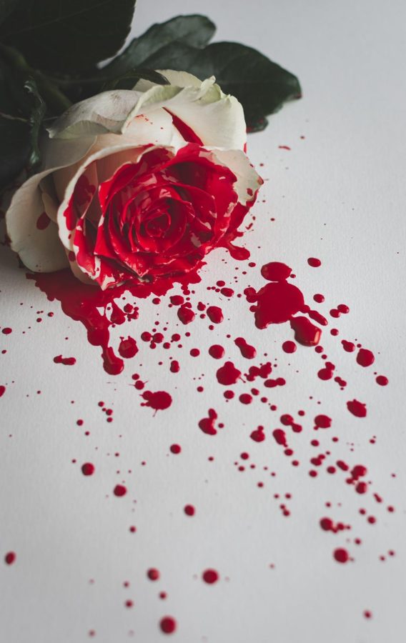 Photo of bloody rose by Alexandre Bouncey