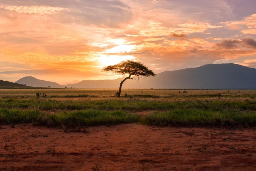 Sunset+in+Africa