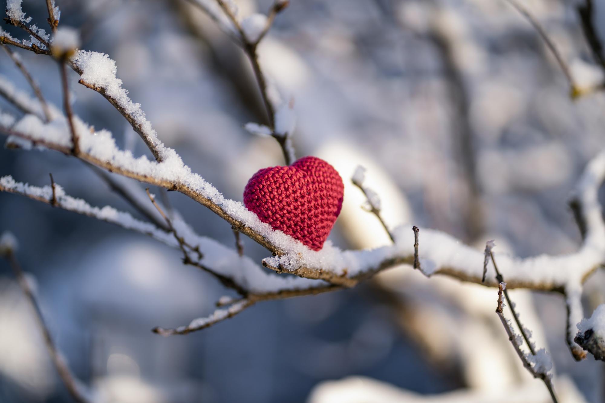 IS LINCOLN PARK GETTING STRANGE ON VALENTINE'S DAY?