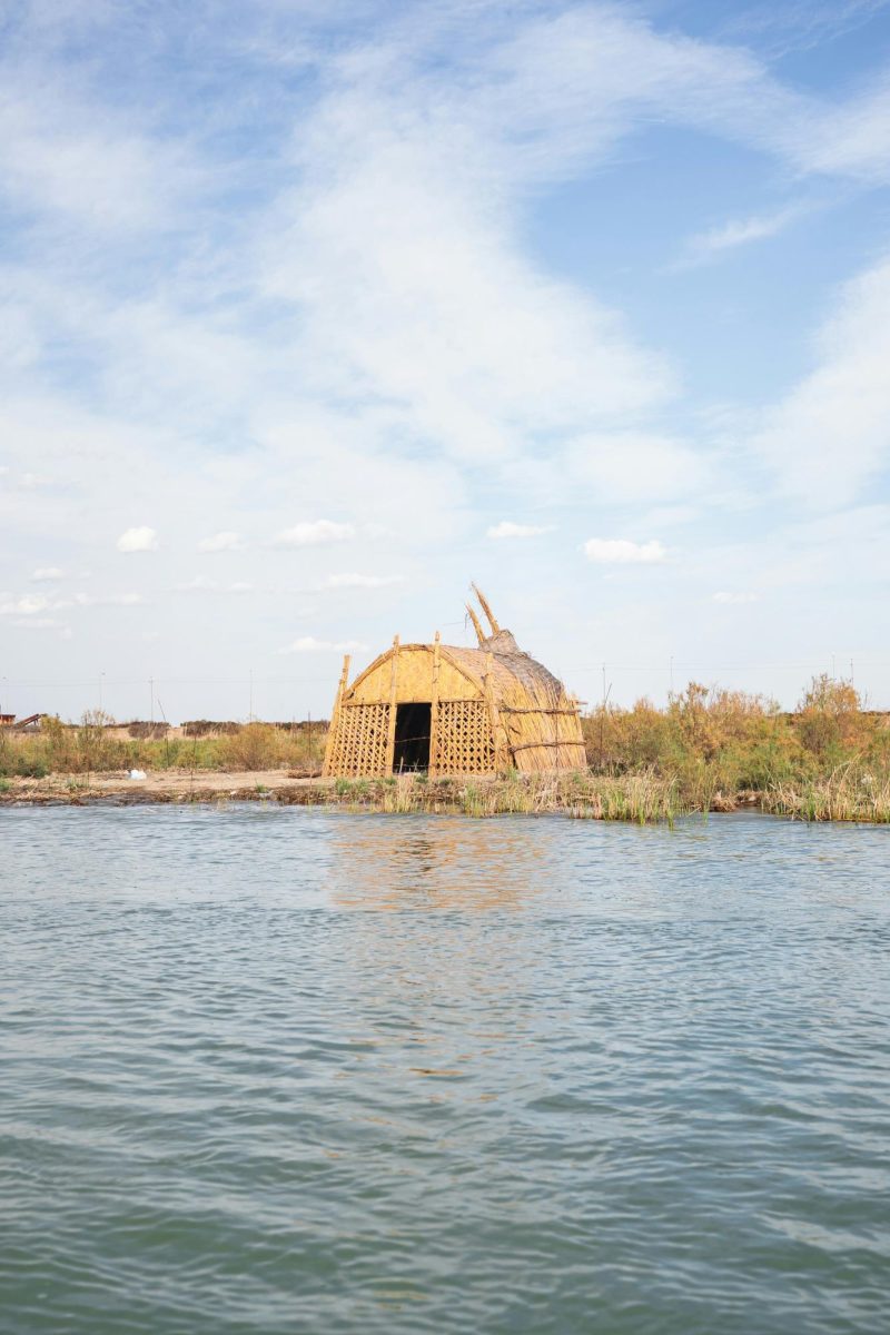 LP STUDENTS WIDELY UNFAMILIAR WITH MESOPOTAMIAN IRRIGATION