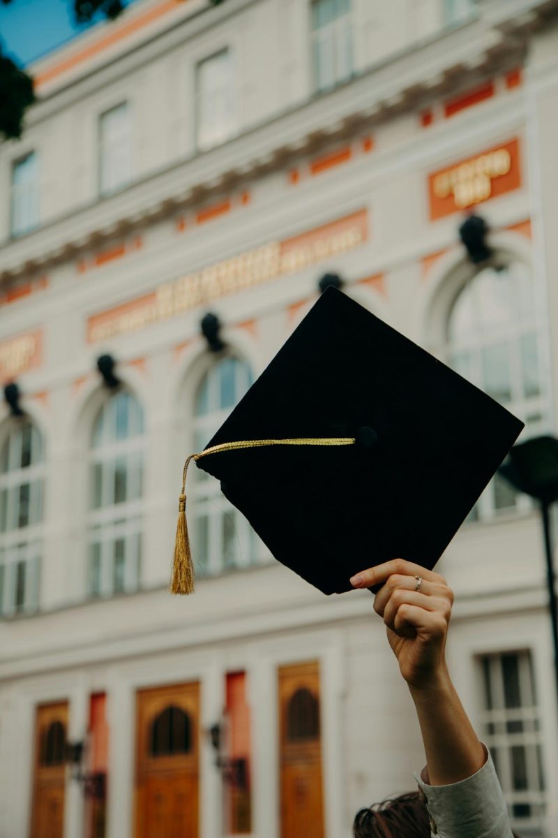 WHAT HAPPENS WHEN DOCTORATES BECOME A BRAND